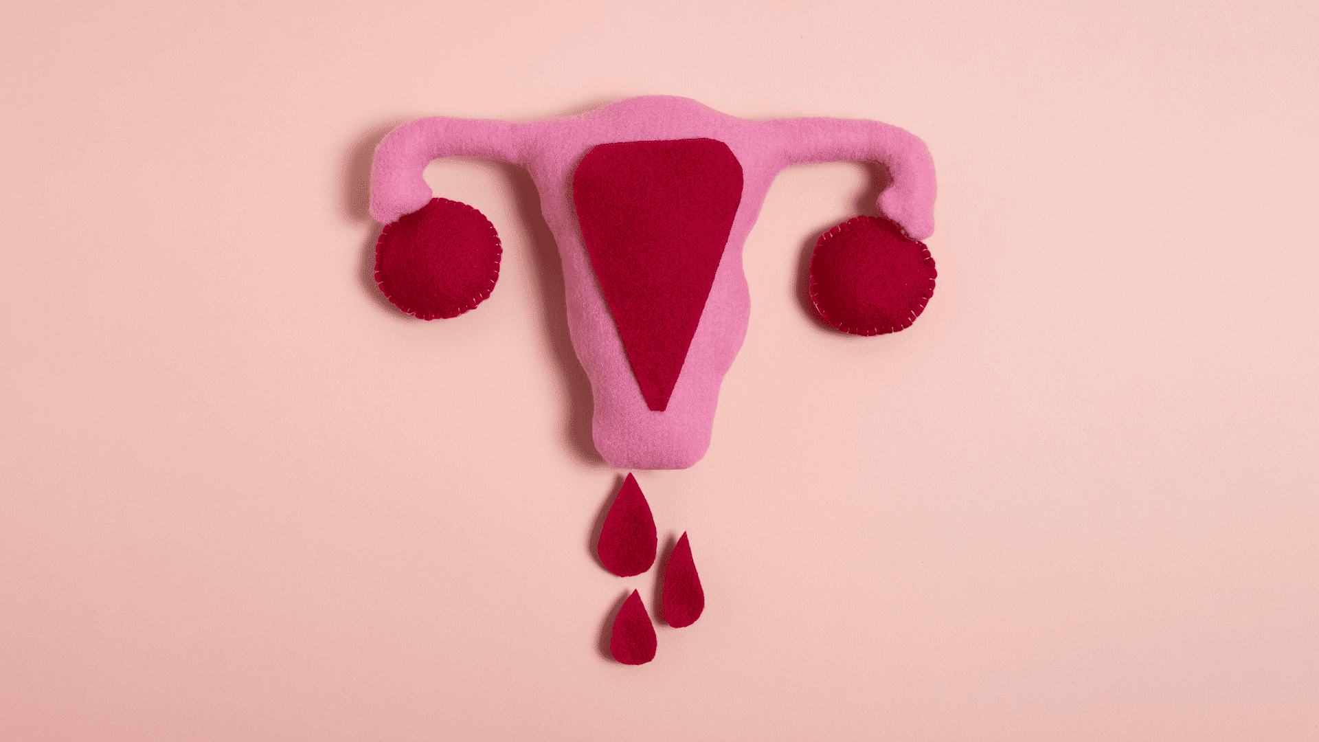 Very-Heavy-Menstrual-Flow_Resources_CeMCOR