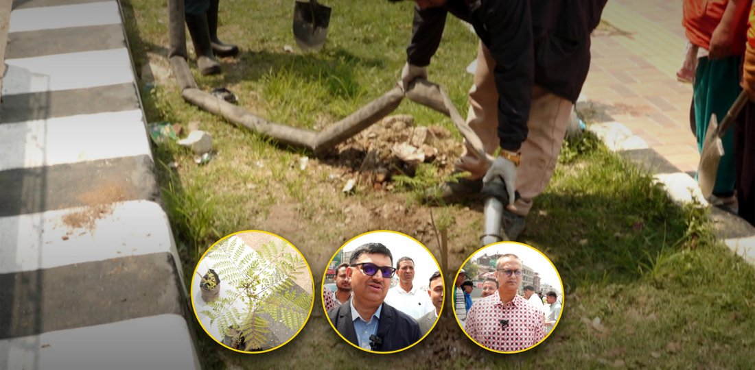 वातावरणमैत्री र हरित सडक निर्माणमा सडक विभागको जोड