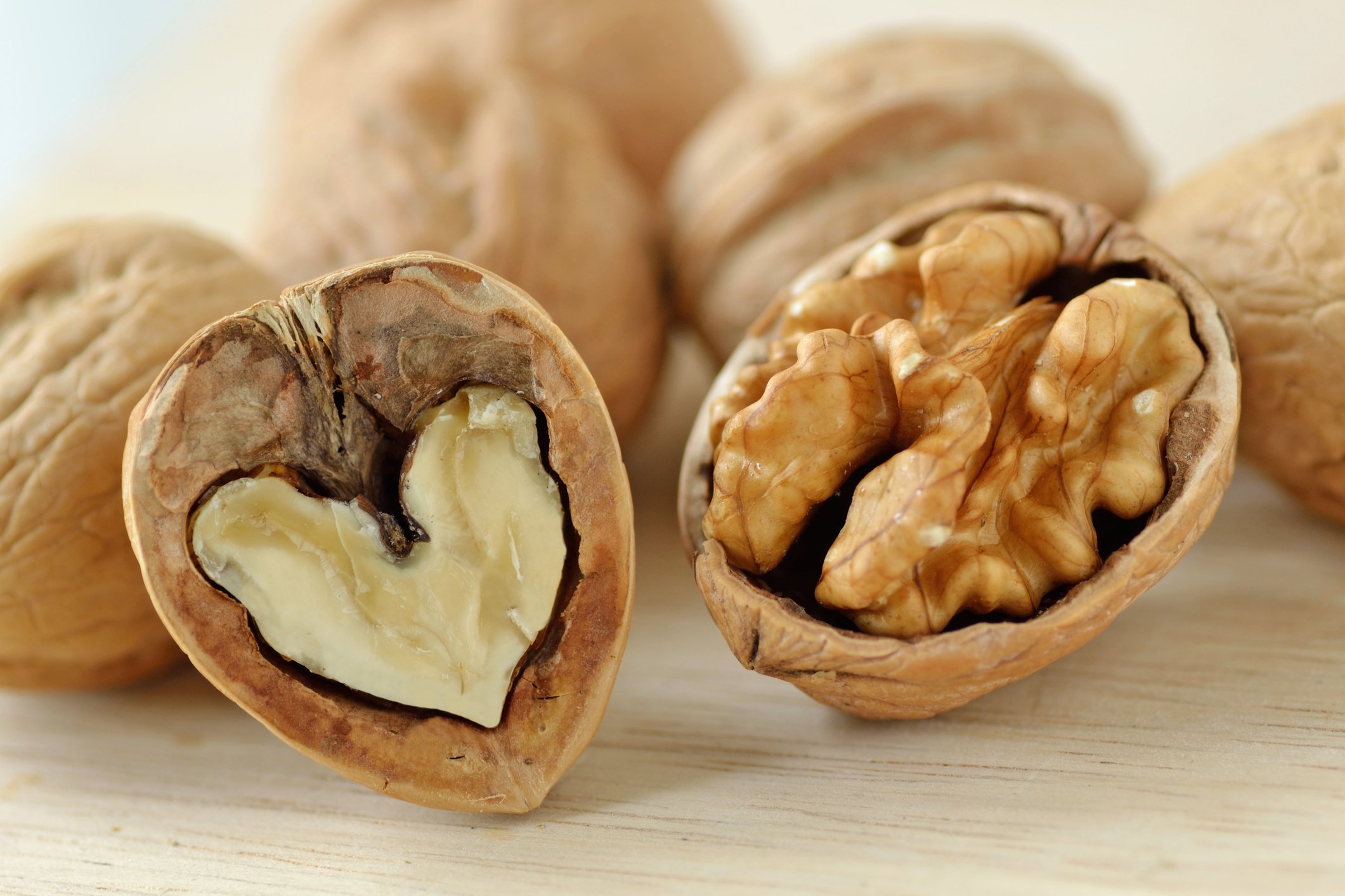 walnut