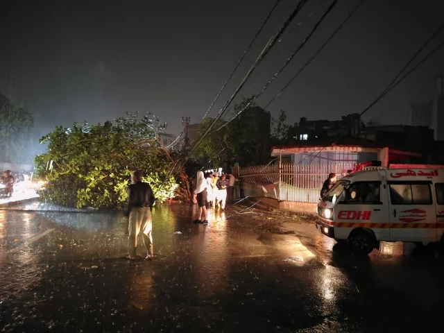   पाकिस्तानमा वर्षाका कारण १७ जनाको मृत्यु