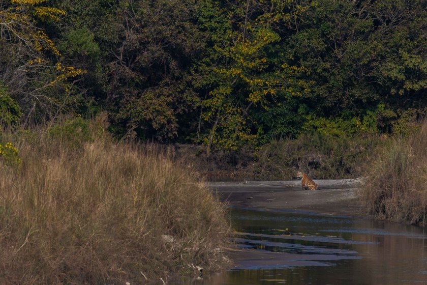 Wildlife_NPL_BS_1210