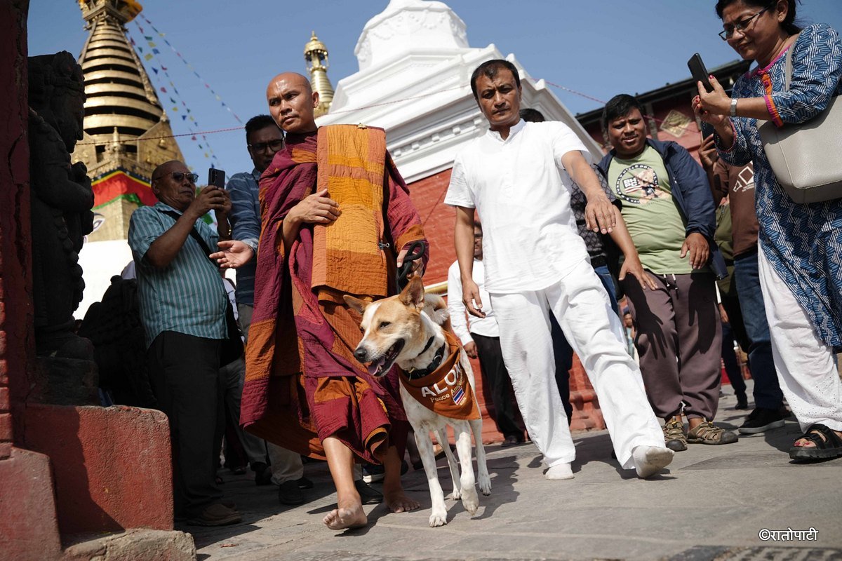 शान्ति दूत ‘अलोका’ कुकुरसहित भियतनामी भिक्षुको टोली काठमाडौँ आइपुग्यो