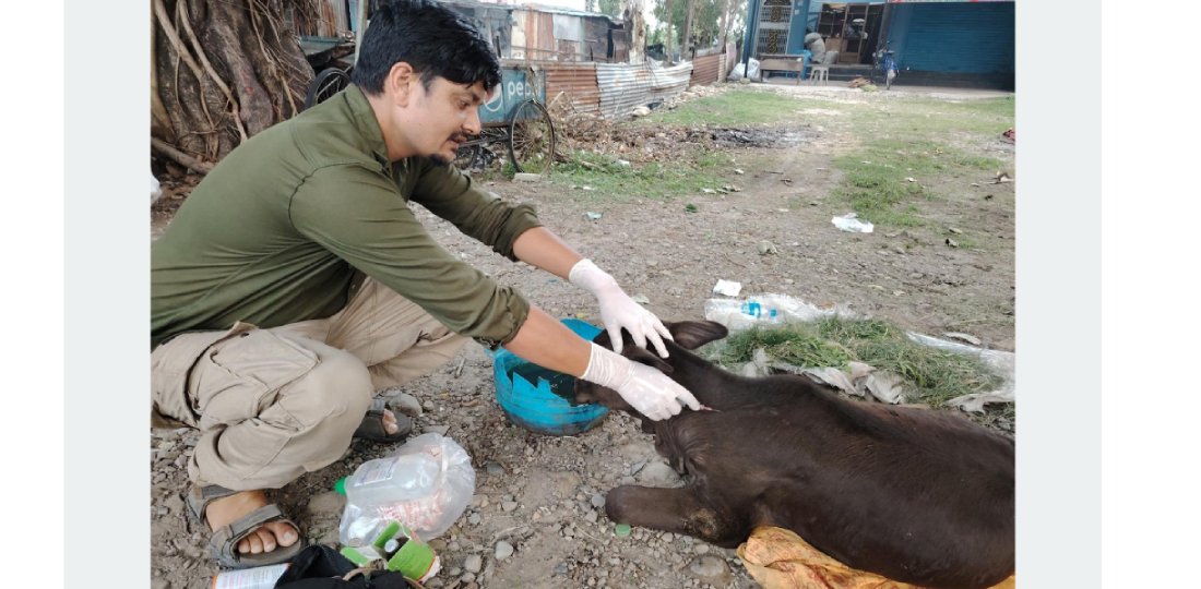   घाइते छाडा चौपायाको उद्धारमा विष्णु