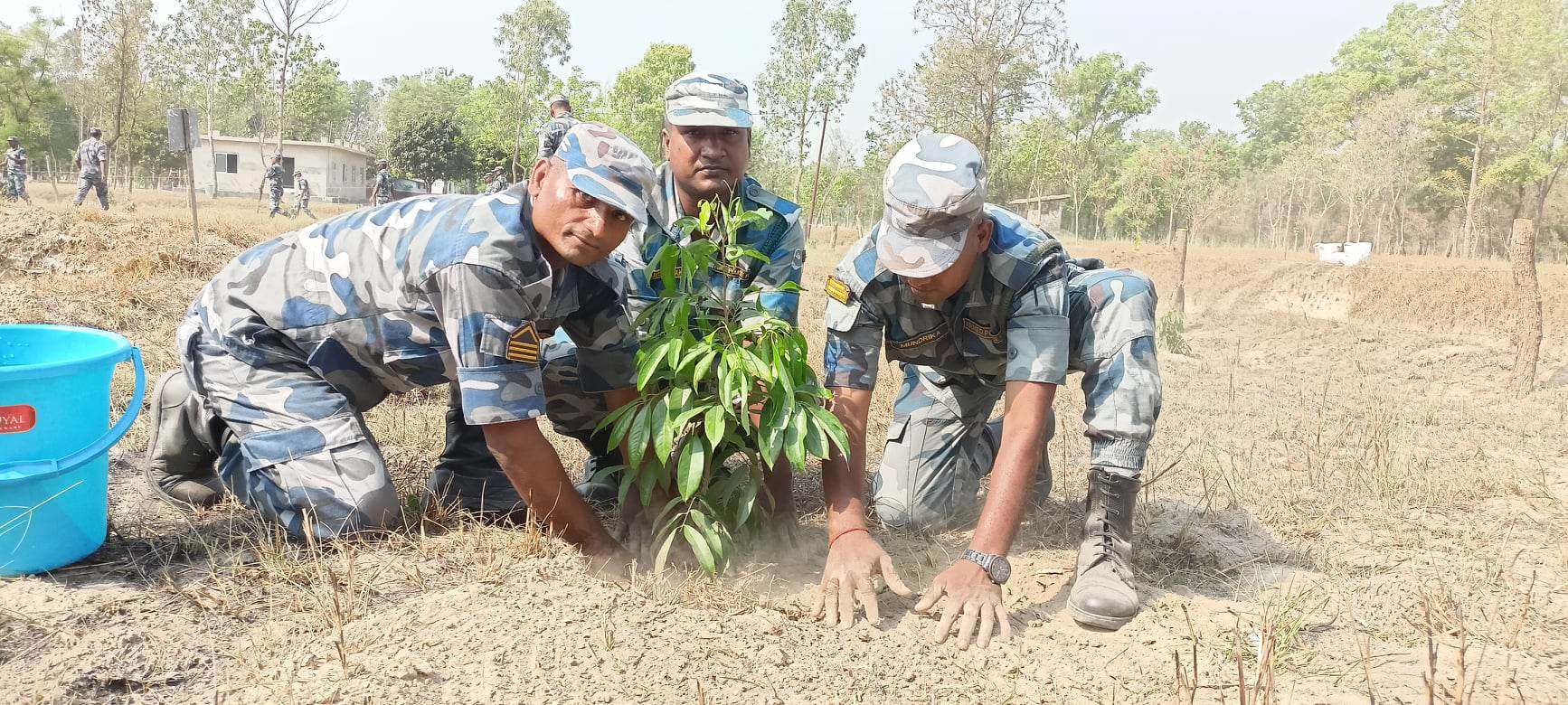 वडाध्यक्षले फडानी गरेको कोल्हवी ५ को राष्ट्रिय वन क्षेत्रमा सेनाद्वारा वृक्षारोपण