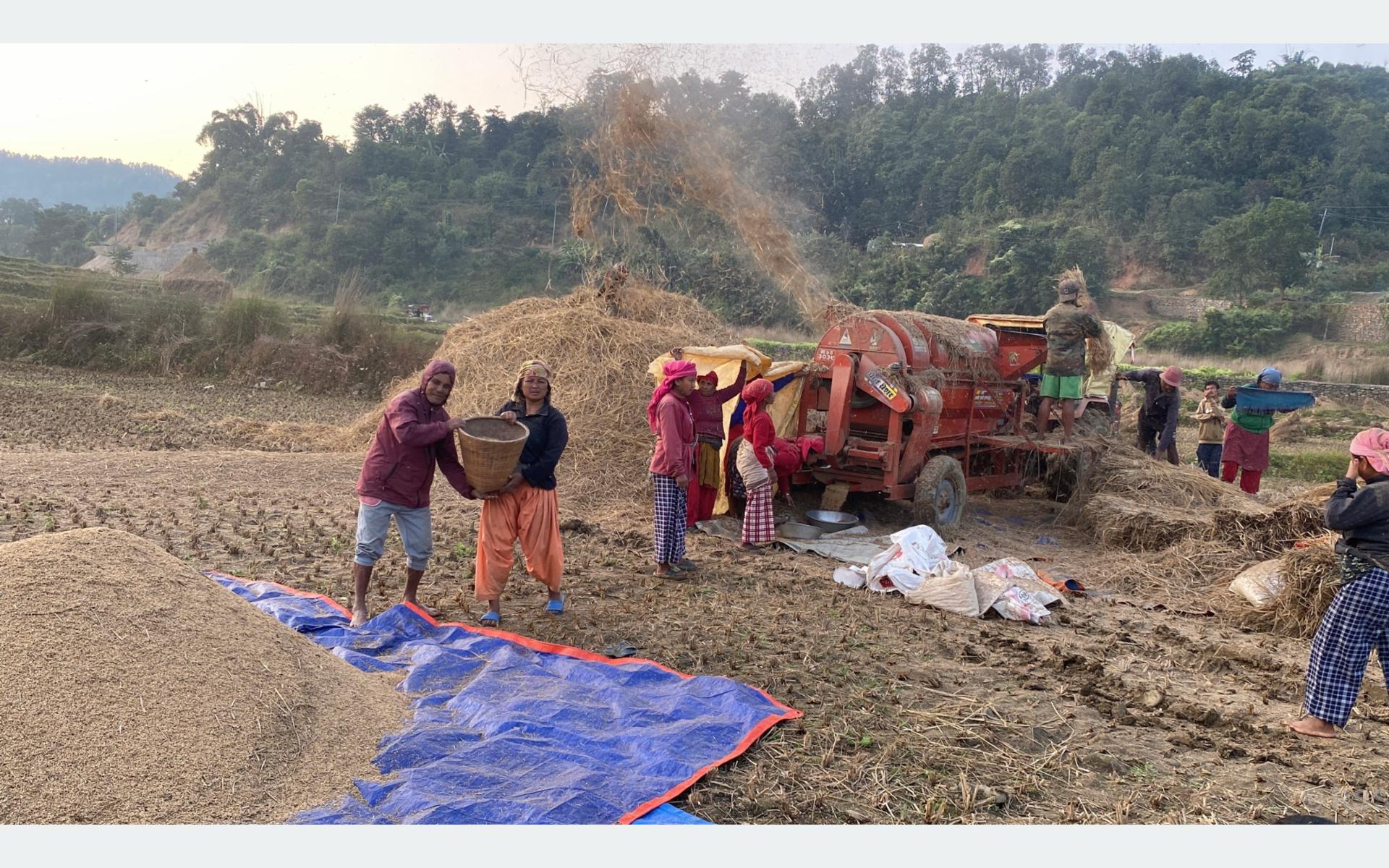   यान्त्रिकरणतर्फ आकर्षित हुँदै गोरखाका किसान