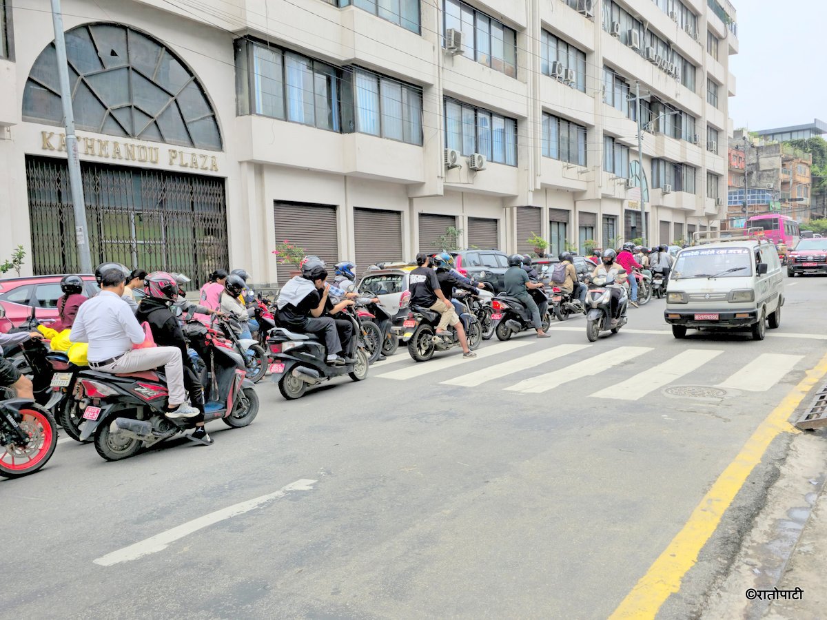 Zebra Cross (1)