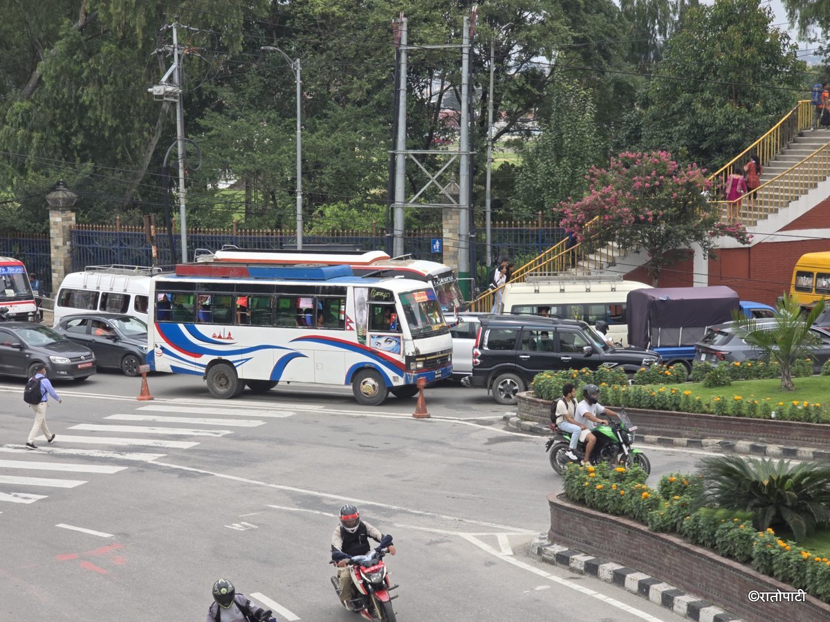 Zebra Cross (10)