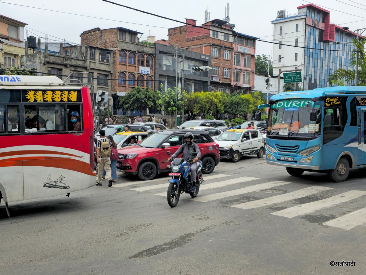 Zebra Cross (11)