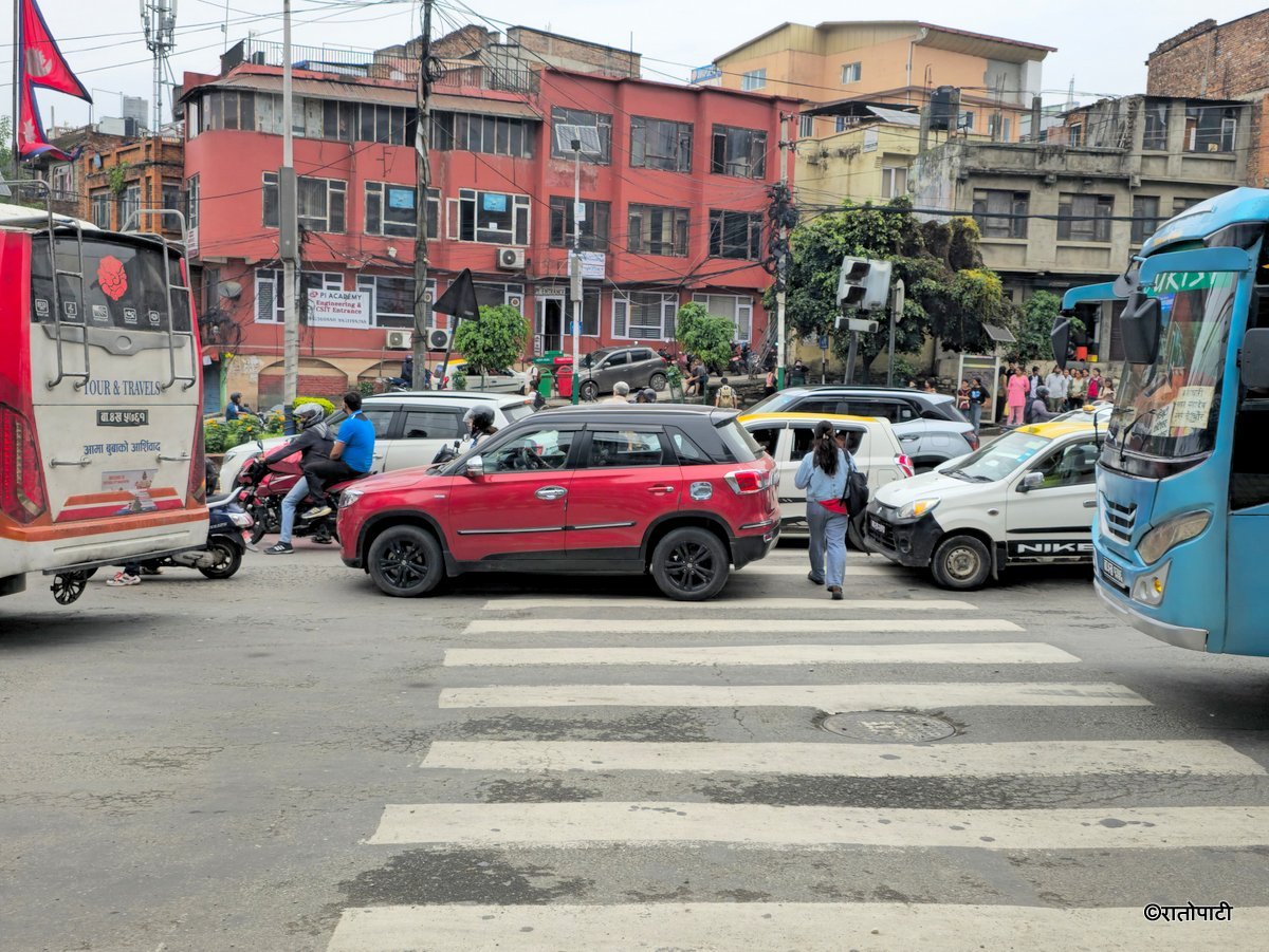 Zebra Cross (12)