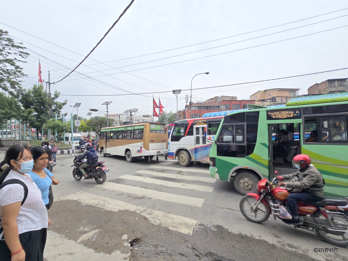 Zebra Cross (14)