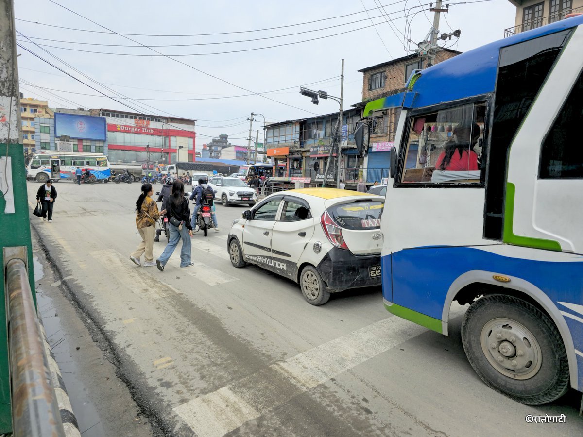 Zebra Cross (15)