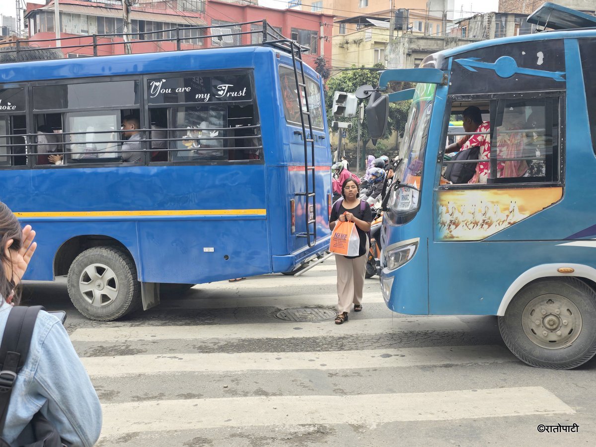 Zebra Cross (16)