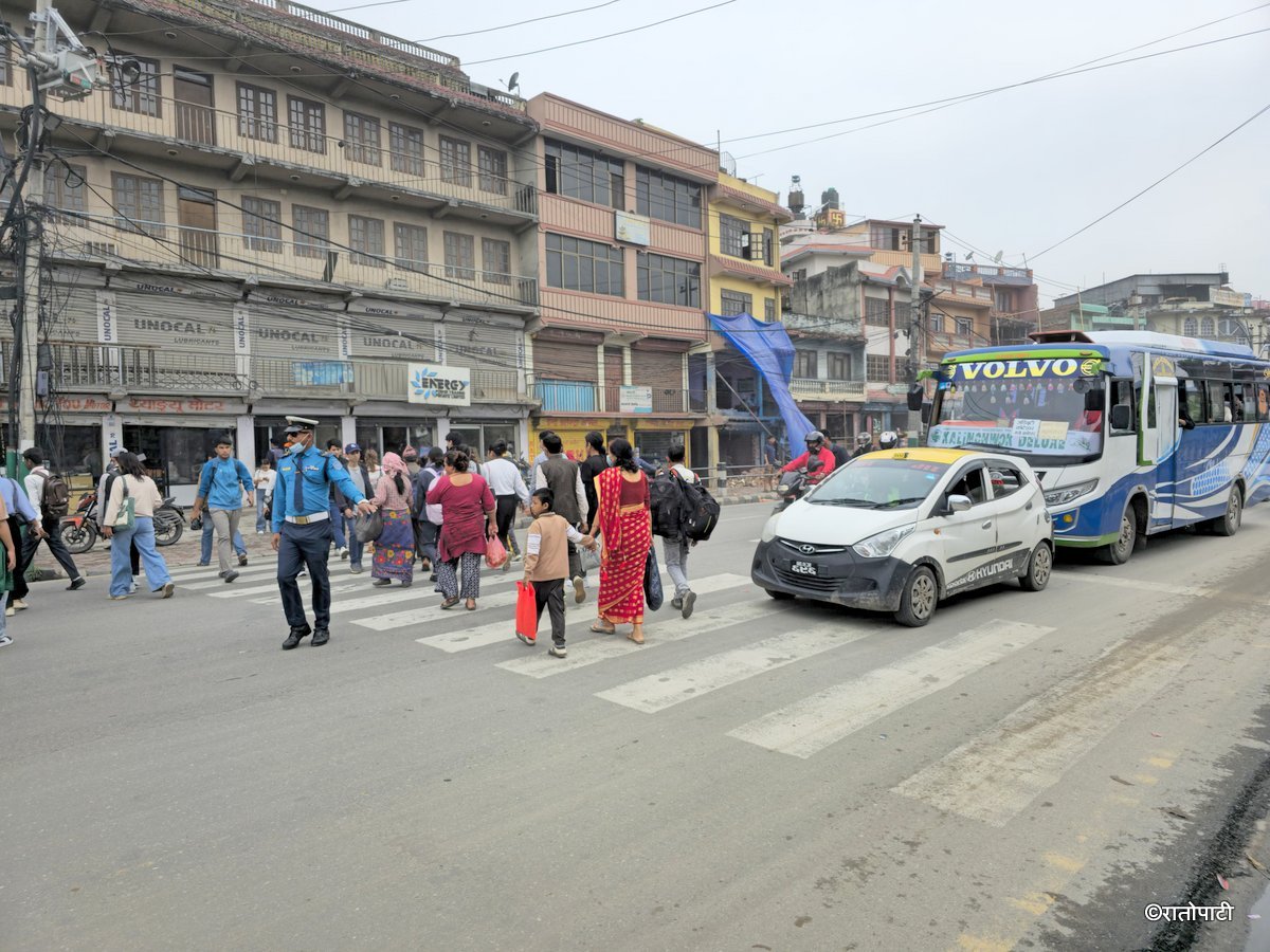 Zebra Cross (17)
