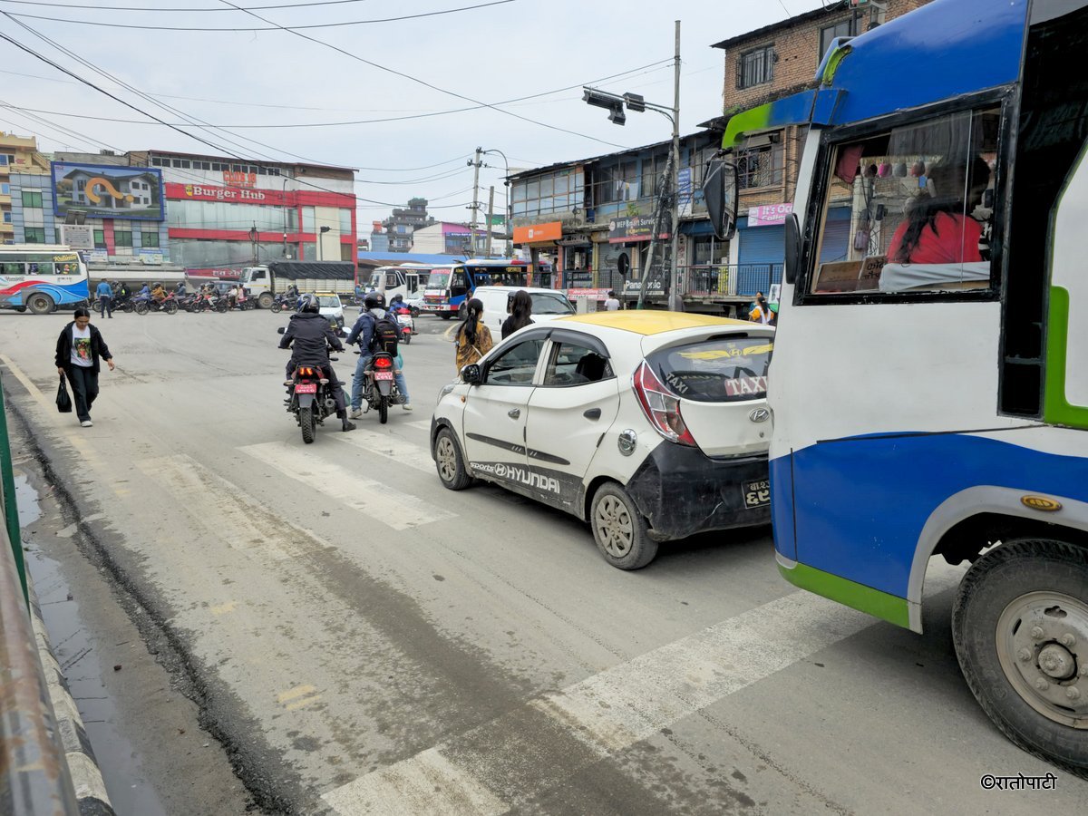 Zebra Cross (19)