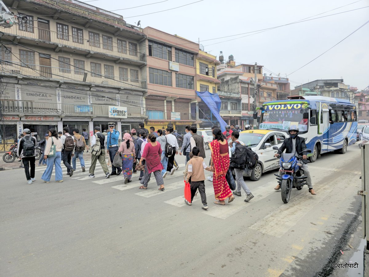 Zebra Cross (20)