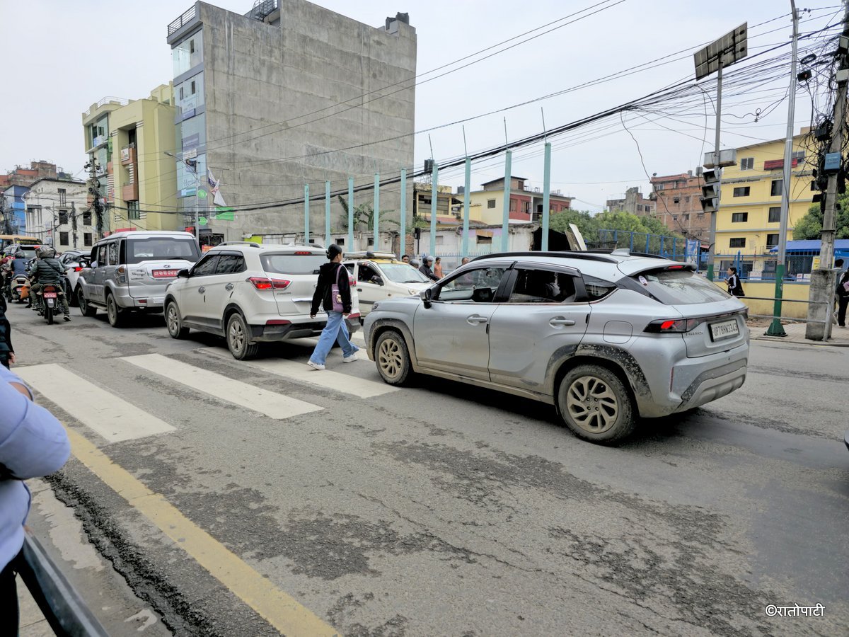 Zebra Cross (3)