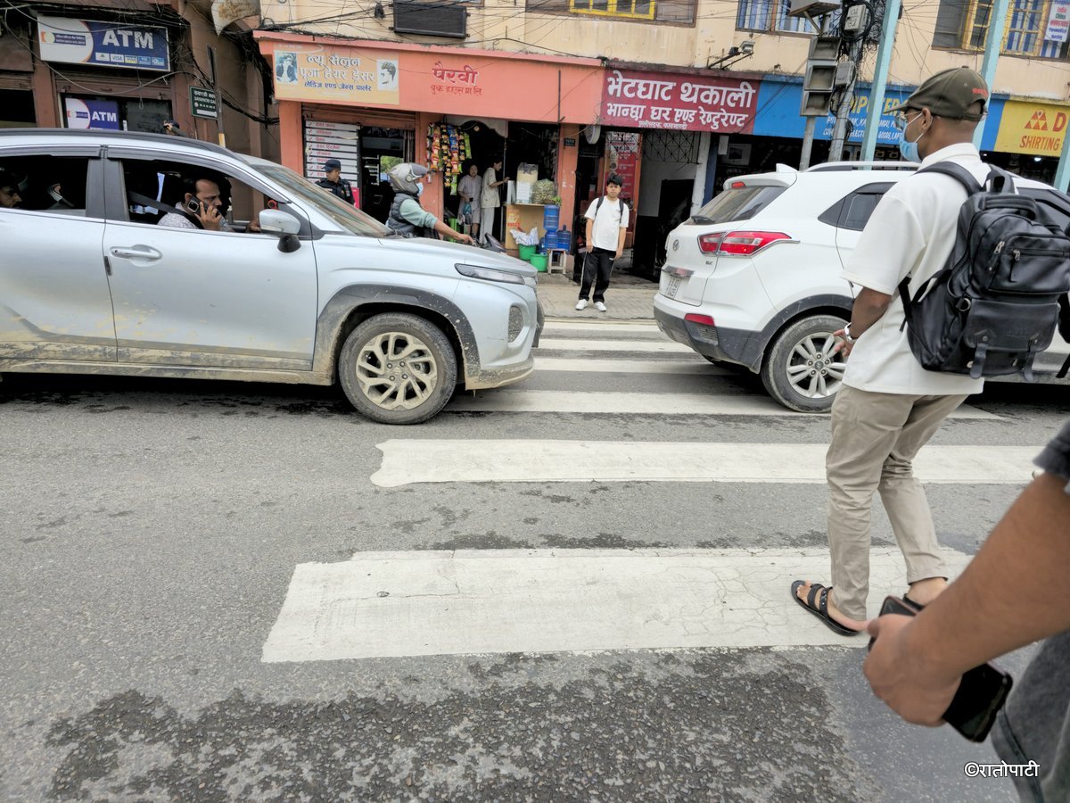Zebra Cross (4)