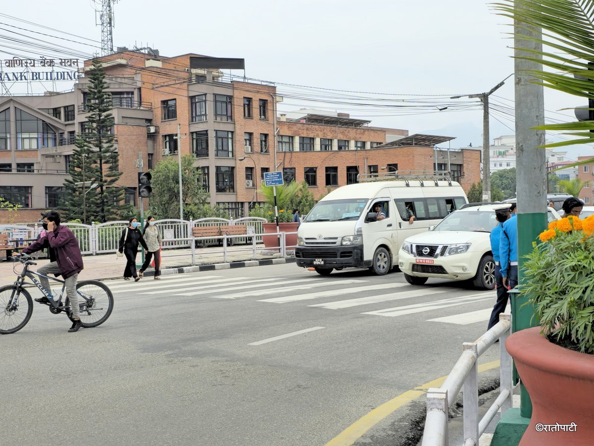 Zebra Cross (6)