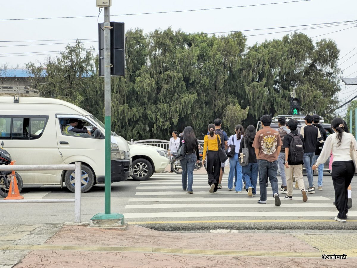 Zebra Cross (8)
