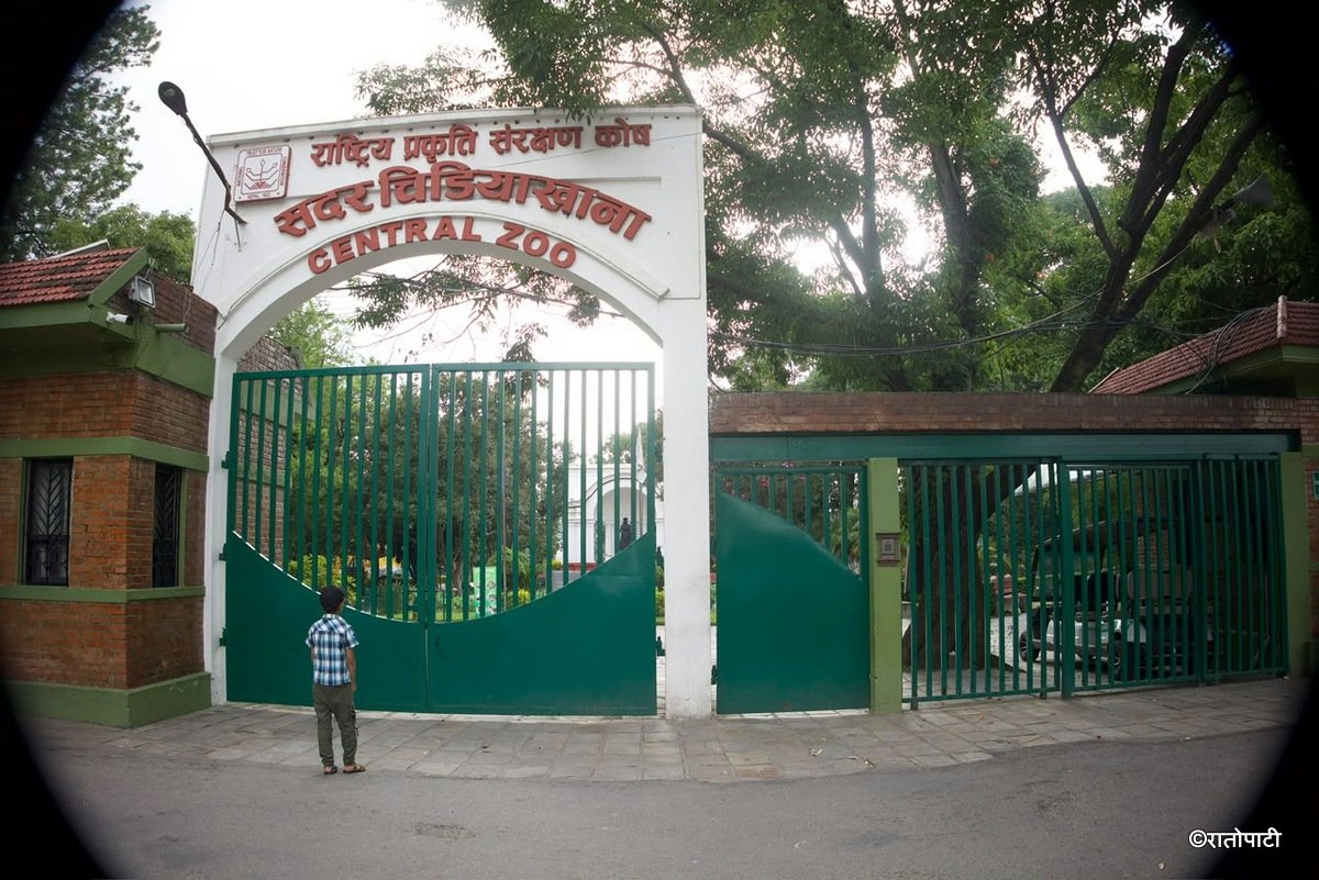 Zoo closwd_NPL (3)