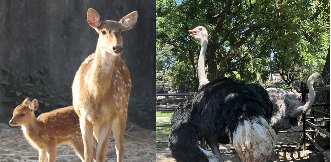 Zoo photo 2.jpg