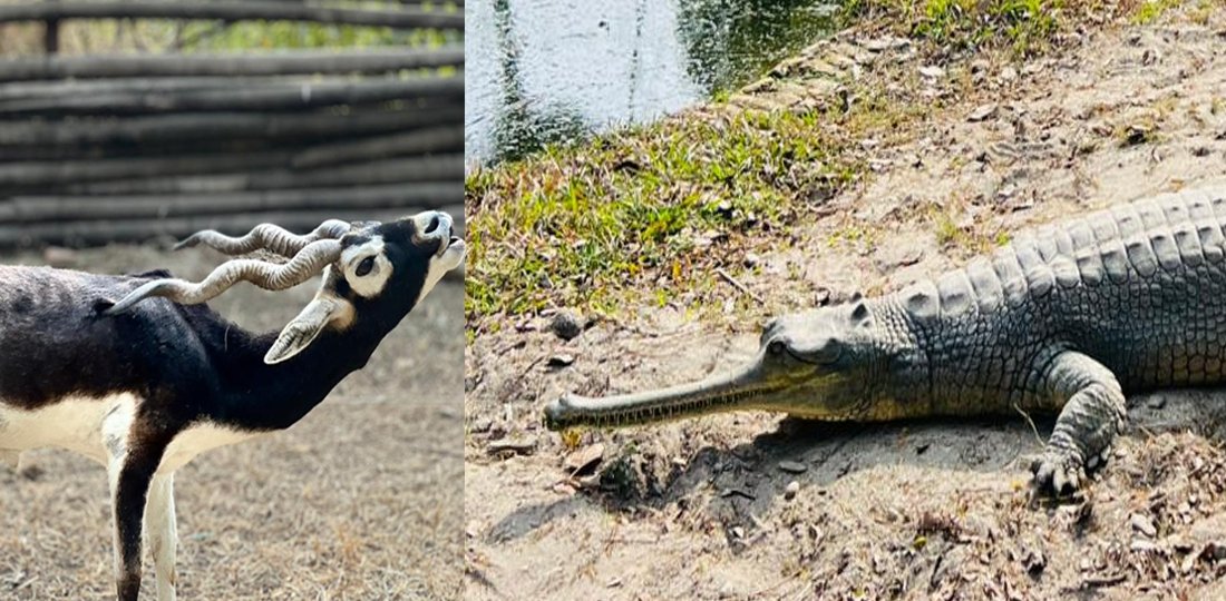 Zoo photo 3.jpg