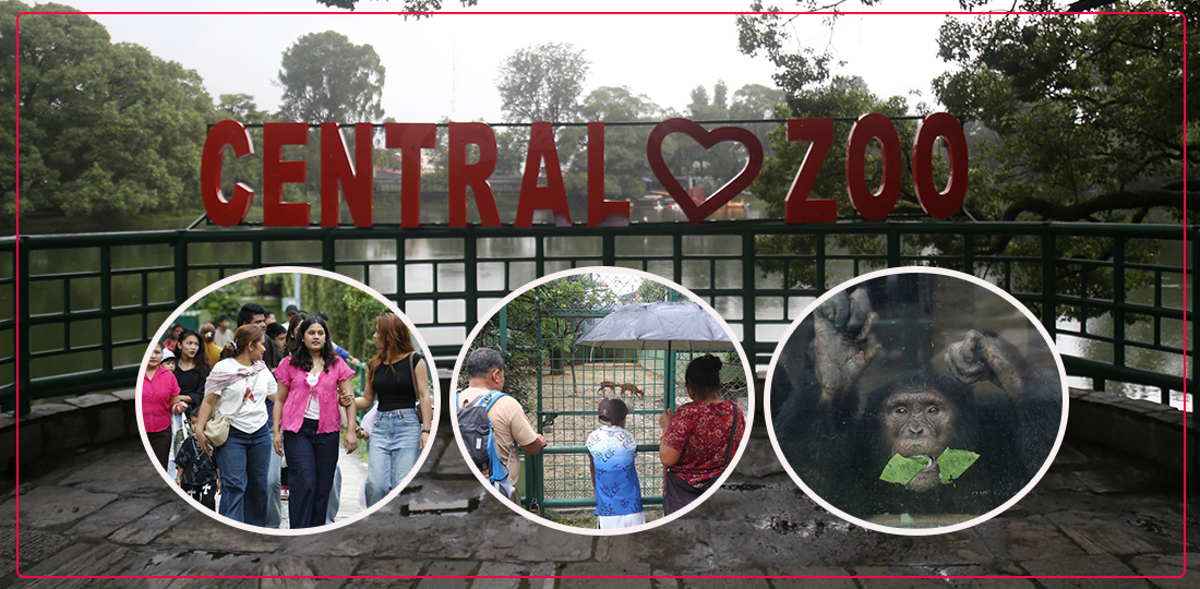 Sadar Zoo Reopens for Public After Bird Flu Outbreak